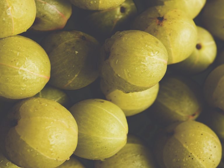 Then Nellikka (Honeyed Amla) Project by Itoozhi Ayurveda Trust